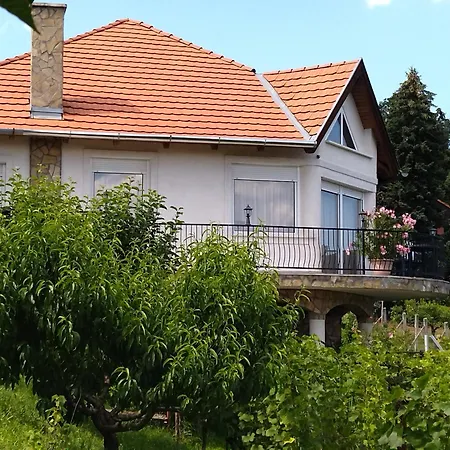 Harmonia Vendeghaz Σπίτι διακοπών Vonyarcvashegy