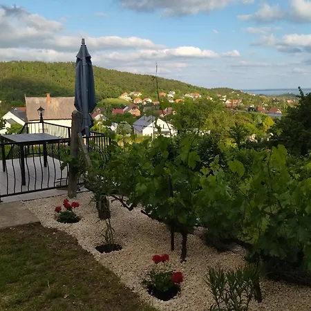 Harmonia Vendeghaz *