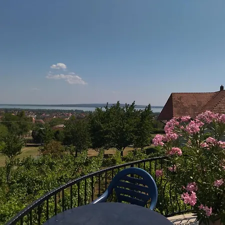 Harmonia Vendeghaz Σπίτι διακοπών Vonyarcvashegy